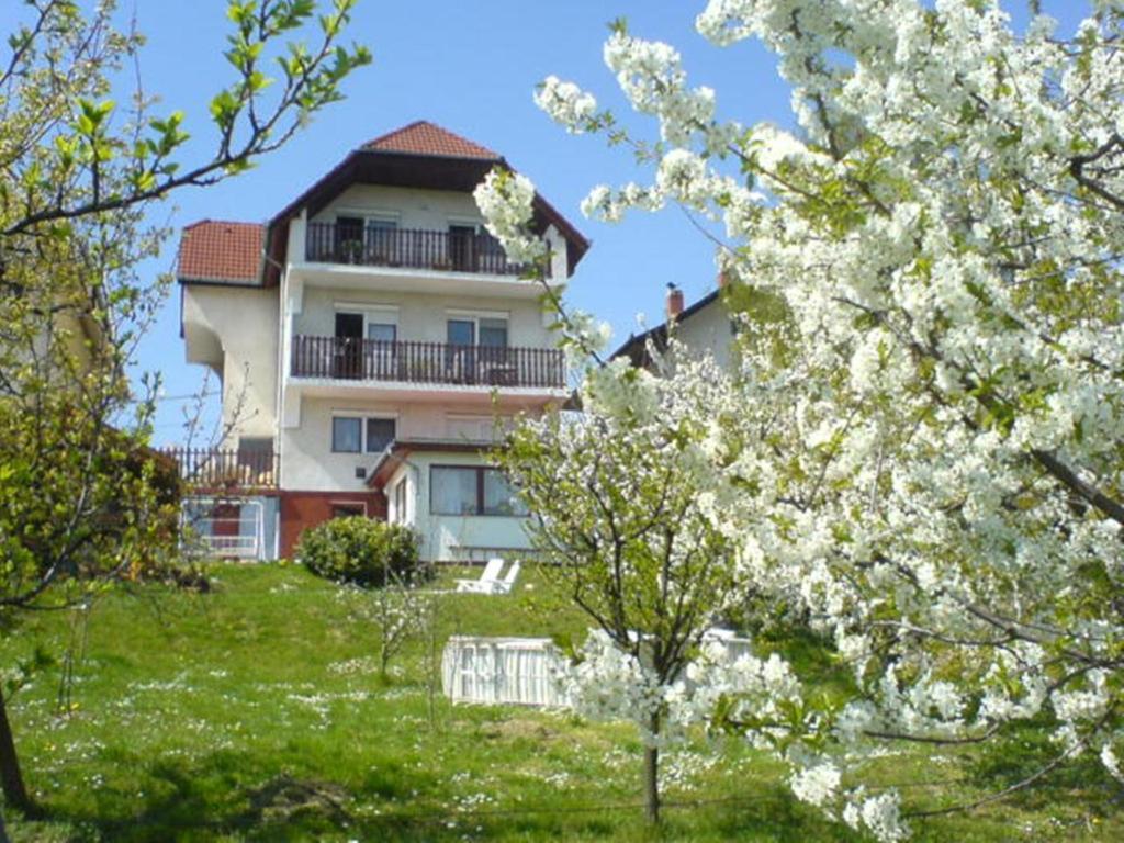 Apartman Berki Heviz Exterior photo